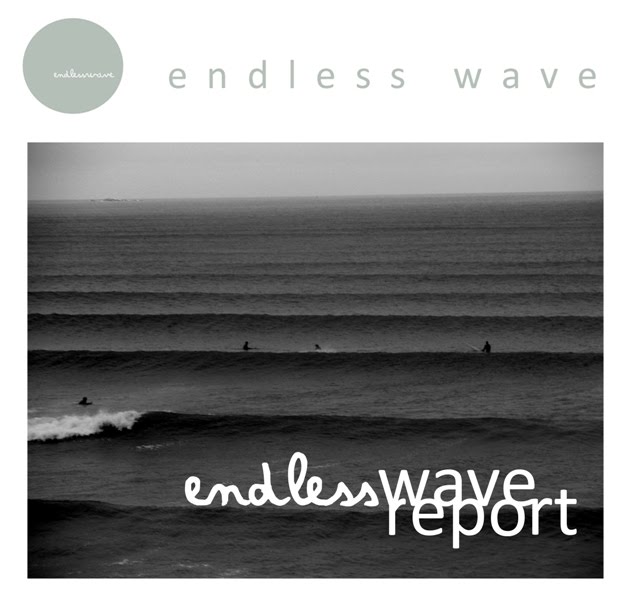 endless wave report