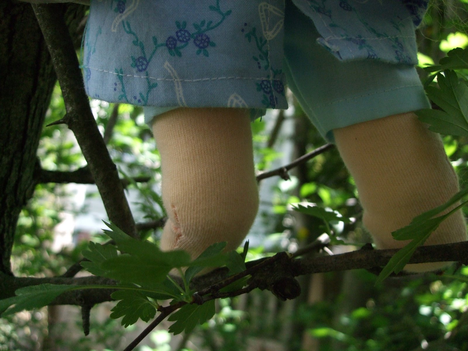 [DSCF2410.JPG]