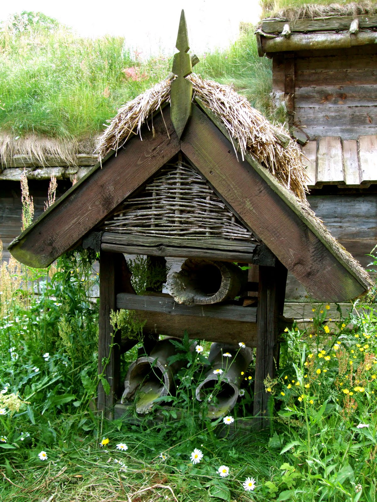 [DSCF3444.JPG]