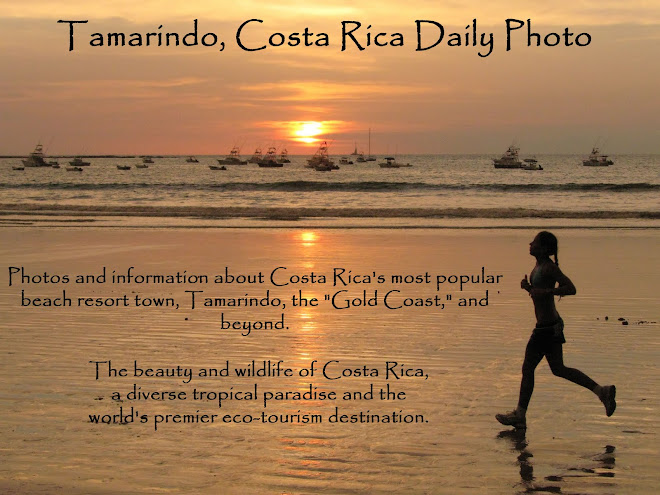 Tamarindo, Costa Rica Daily Photo