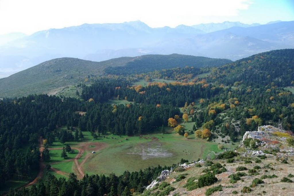 ΑΠΟΨΗ ΑΠΟ ΤΟ ΜΑΣΤΟΡΑ [ ΛΟΥΤΣΑ -ΚΕΔΡΟΡΑΧΗ(ΧΩΡΙΣ ΚΕΡΑΙΑ)-ΑΛΩΝΑΚΙ]