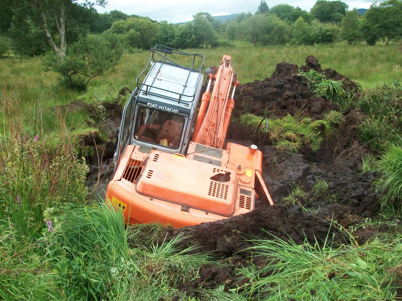 Bog Irish