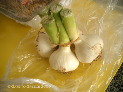 Fresh garlic