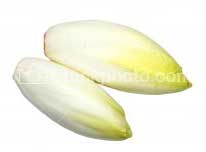 [endivia-endibia.jpg]