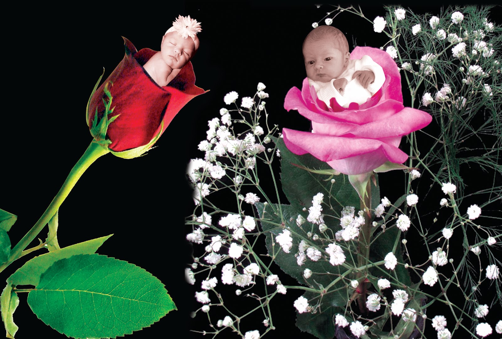 Cute Creations With Creation