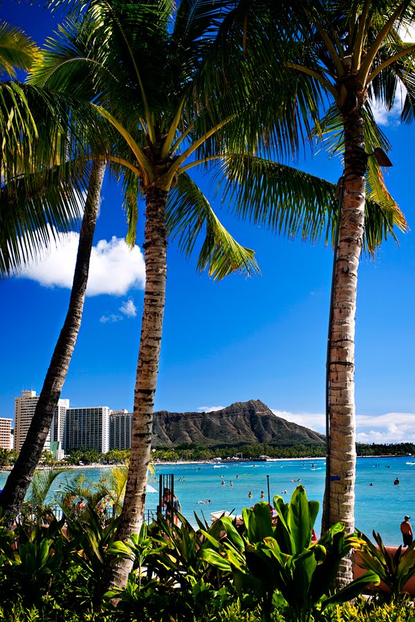[Diamondhead02web.jpg]