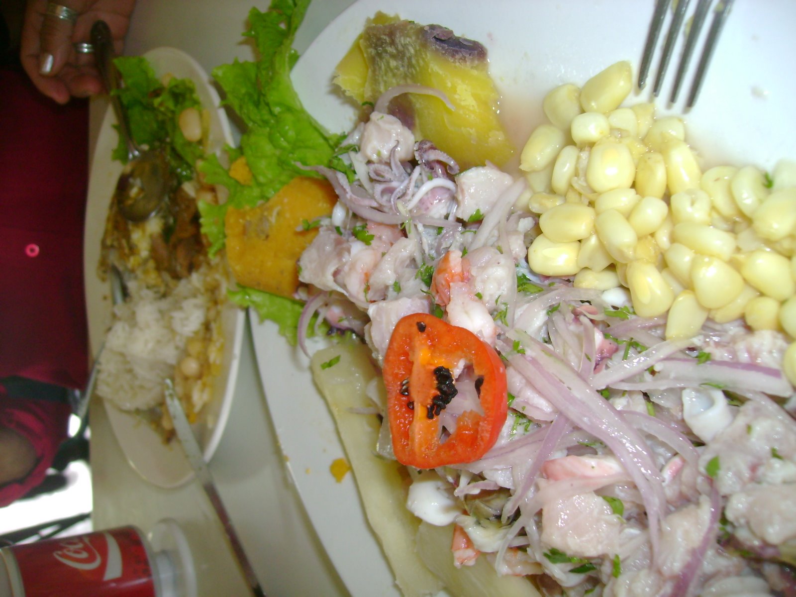 [DSC05043.JPG]