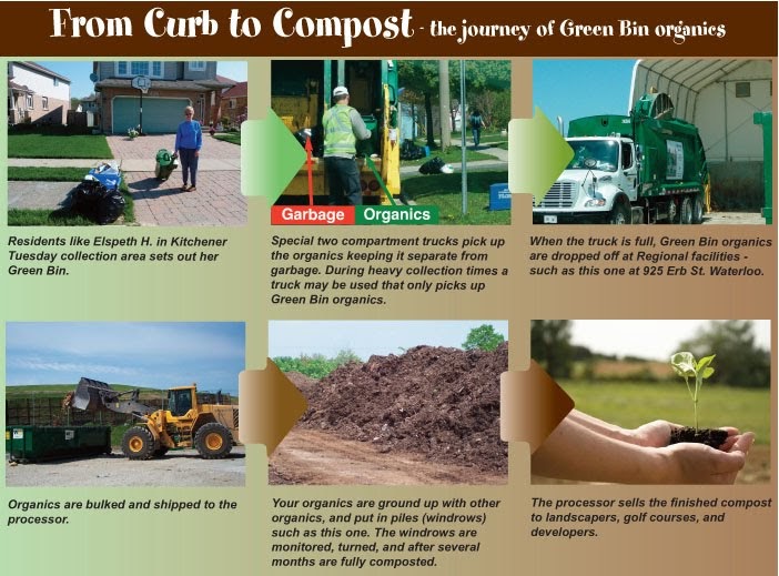 Virtually There Life in Waterloo Part 2 The Green Bin Program