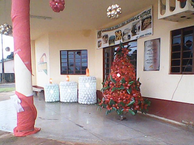 enfeites jardim natal:Canarana News: ESCOLA NOVA ERA E PSF JARDIM TROPICAL DÃO EXEMPLO DE enfeites jardim natal:Canarana News: ESCOLA NOVA ERA E PSF JARDIM TROPICAL DÃO EXEMPLO DE