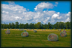 Mid Day - passing hay bales