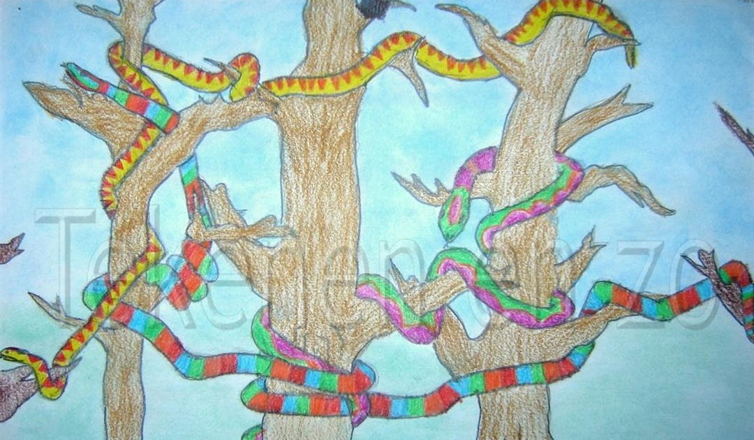 Tekenen en zo Slingerende slangen