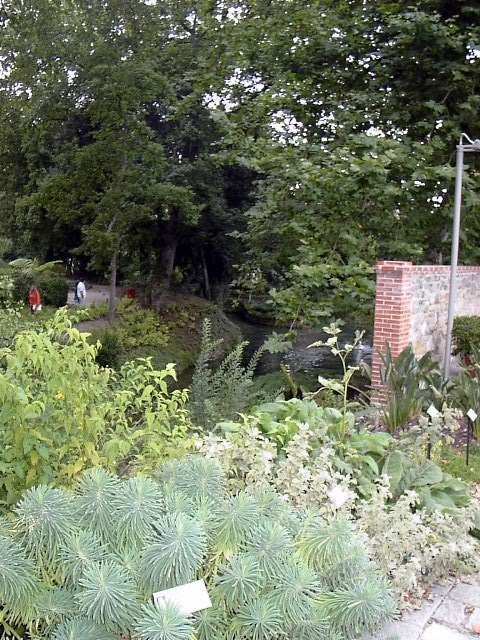 Ricardo Librero: El estado del Jardin Botanico a 4 meses del cambio. 2/3.