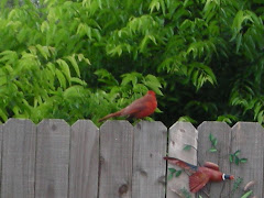 Friends of the Garden