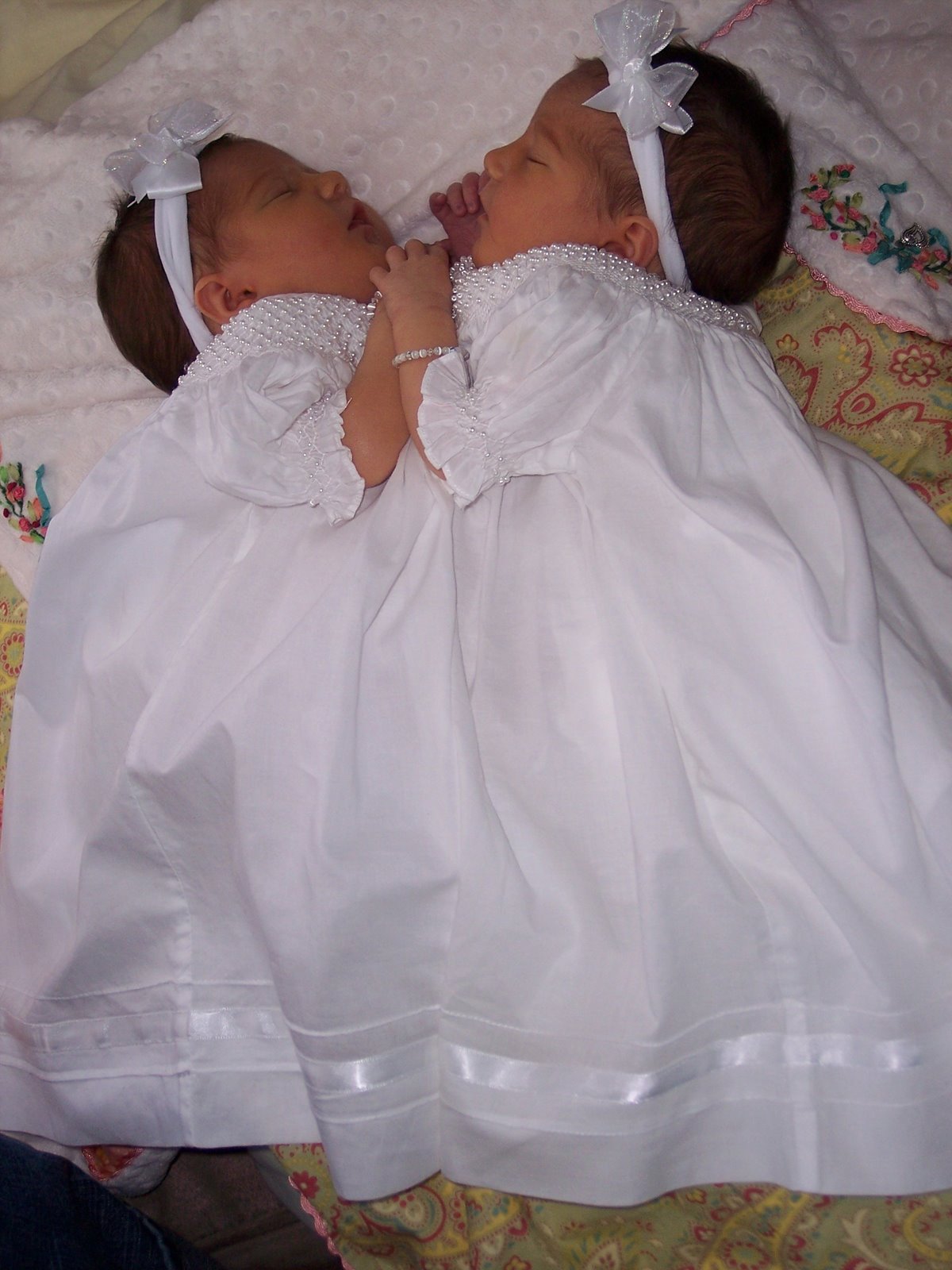 http://4.bp.blogspot.com/_rNMOlewSvvM/TG1BK4xFrfI/AAAAAAAAFeo/-DxQwzHMhtE/s1600/bailey2.jpg