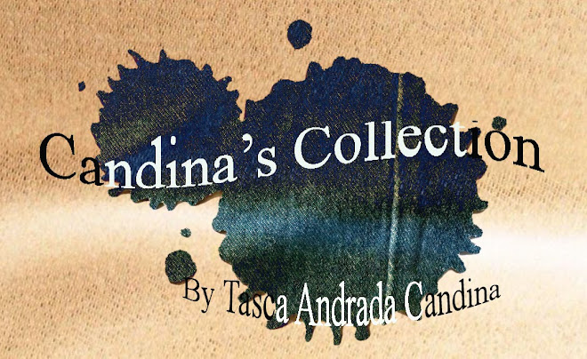 Candina's Collection