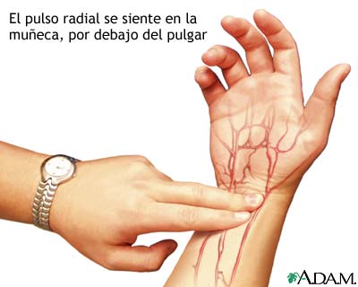 El alcoholismo curan por el hambre