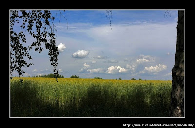 Курс доллара рязань
