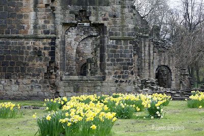 Picture Kirkstall Abbey Leeds Kirkstall Abbey Flowers