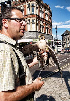 Lanner Falcon Leeds