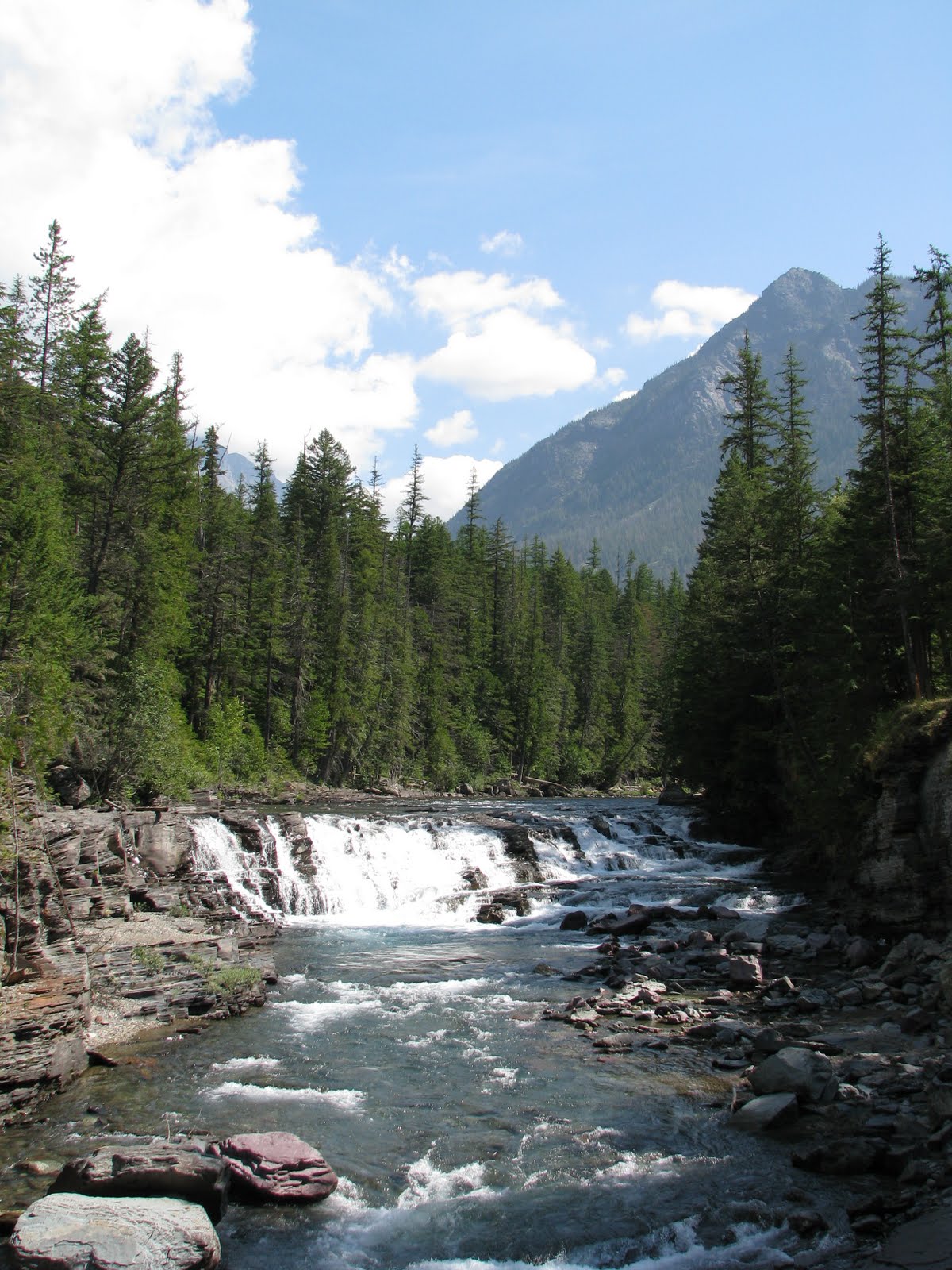 [IMG_6265.JPG]