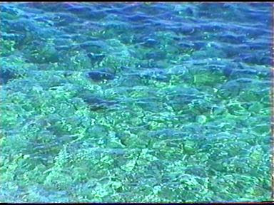 Las maravillas del agua del mar para tu salud