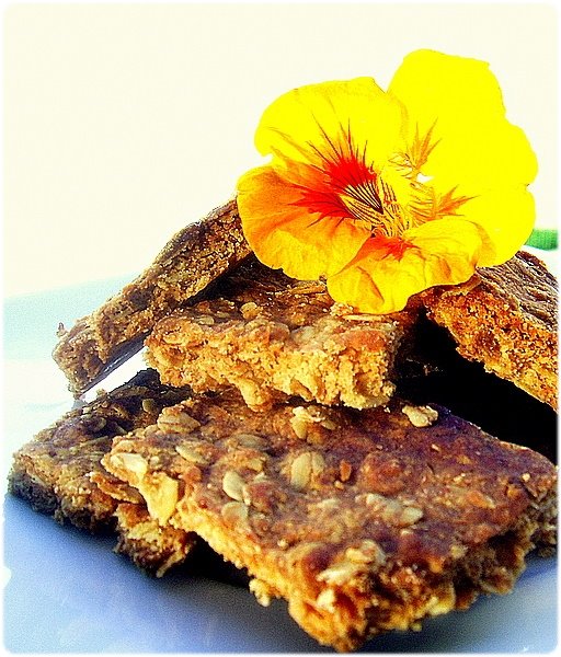[biscoitos-aveia.JPG]