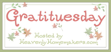 [gratituesdayfall2.jpg]