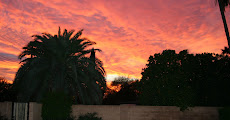 The Amazing Arizona Sunset