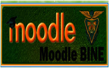 Plataforma Moodle BINE
