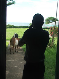 Jeevan taking aim at the cows