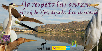 ANSE edita una pegatina y un folleto a favor de las garzas