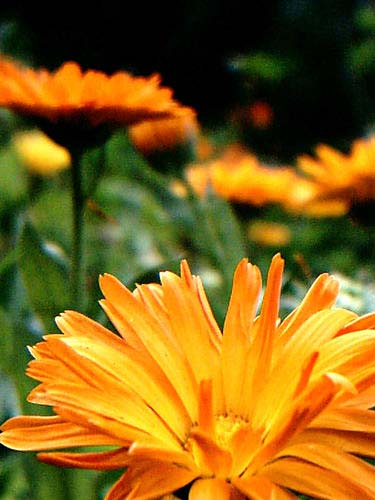 Pildi kvaliteedi parandamine