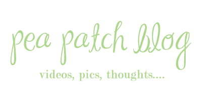 Pea Patch Blog!