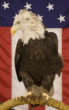 Harriet the Eagle