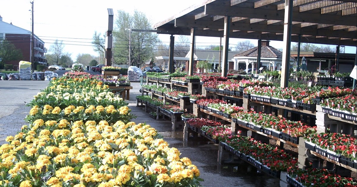 Johnson's Garden Centers Johnson's Flat Sale starts Wednesday 4/22