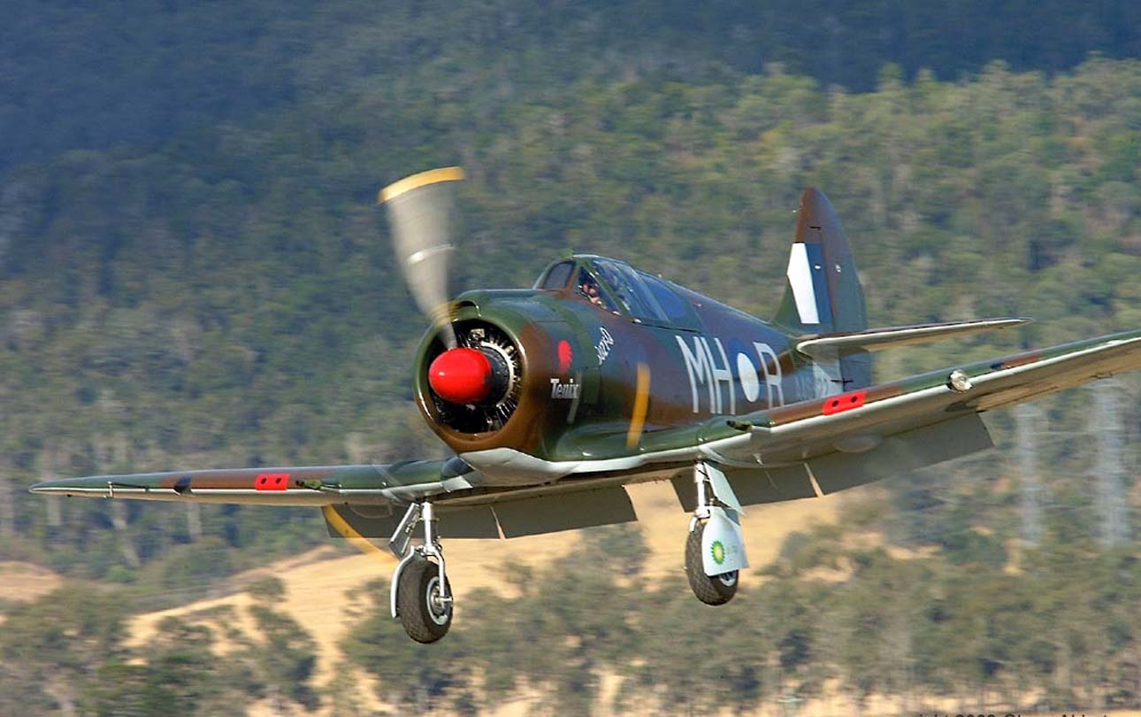 [CA-13boomerang-5bb.jpg]