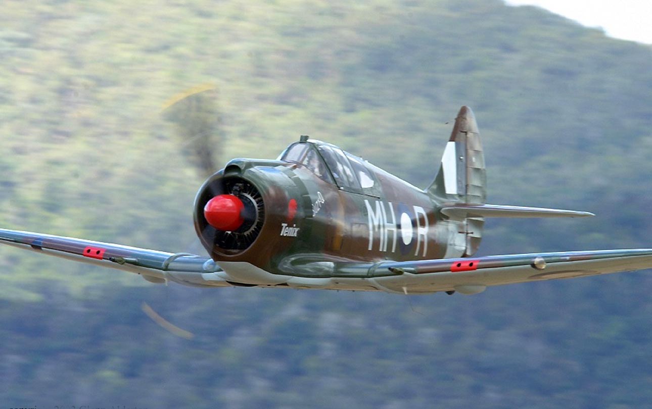 [CA-13boomerang-12.JPG]