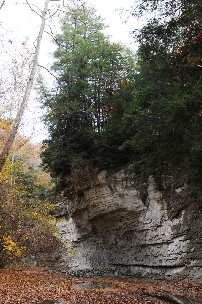 Outdoor Indiana Hidden Gem Pine Hills Nature Preserve