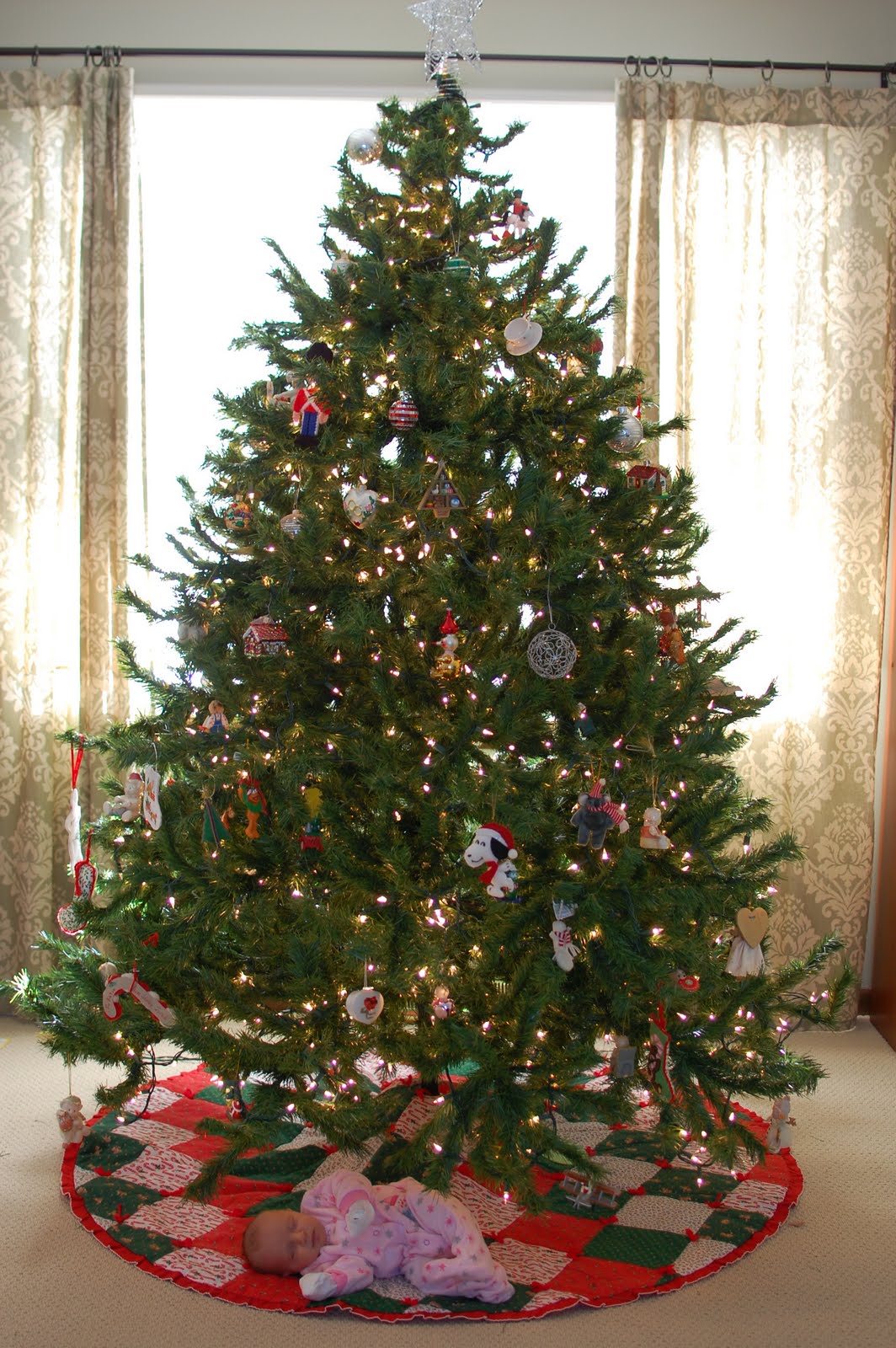 [DSC_0262.JPG]