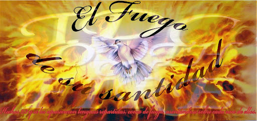 TDC Youth on Fire