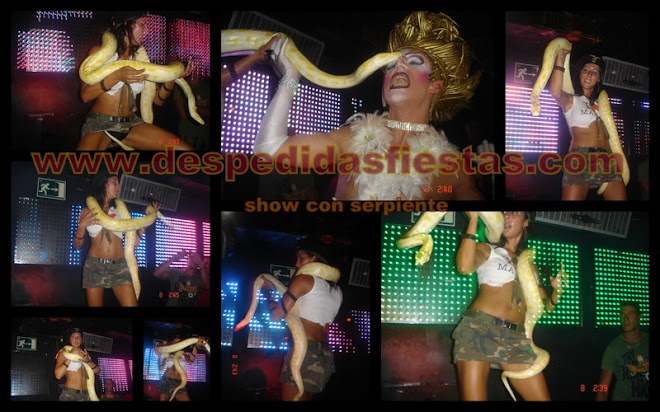 gogo con serpiente | shows con serpiente