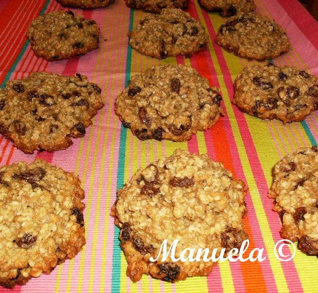 [biscoitos_aveia_e_passas2.JPG]