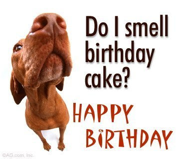 [Image: do_i_smell_birthday_cake.jpg]