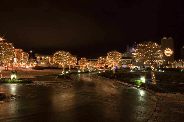 Adrienne's November 2009