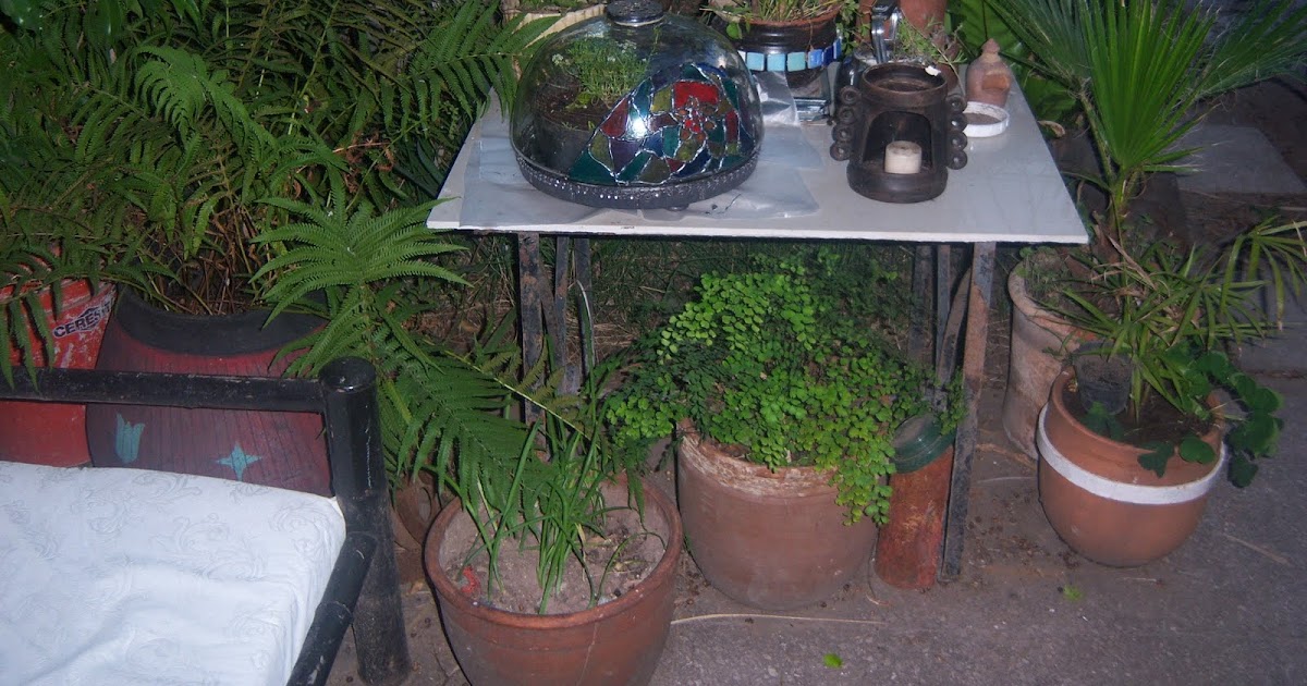 reciclado paso a paso: DE PLAFÓN A MINÍ INVERNADERO