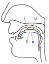 Articulation Disorders: Articulation Articulation Disorders: Articulation