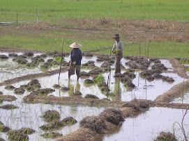 NASIB PETANI BENGKULU SELATAN