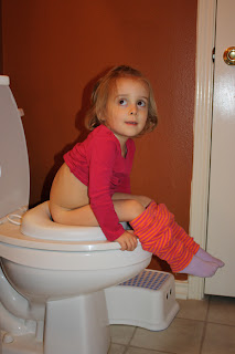 the adventure of our lives potty training difficult girl
