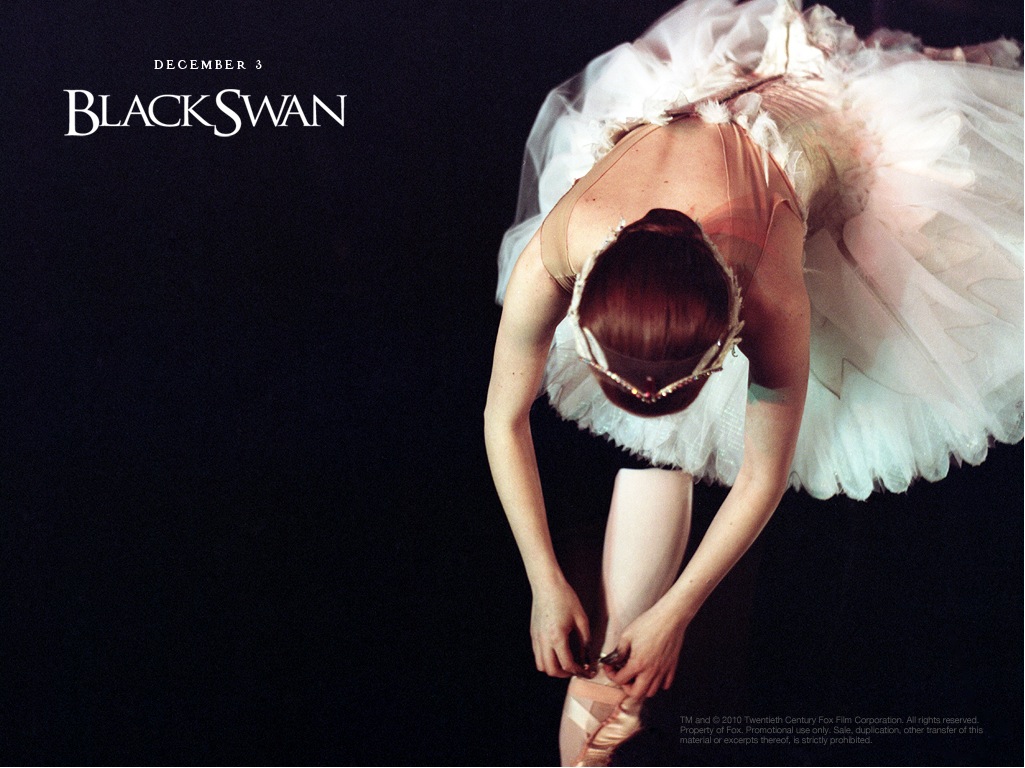 http://4.bp.blogspot.com/_rYqHy2fBOBg/TRmG_lak9yI/AAAAAAAAATc/1njYm9BJcug/s1600/1024x768_BlackSwan_2.jpg