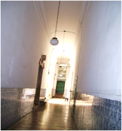 [Nova+Imagem+(39).png]